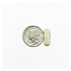 Rapid Flea Killer Dogs 25-125 lbs, Red Label - 50 capsules